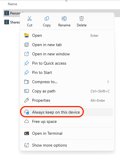 select always keep on this device
