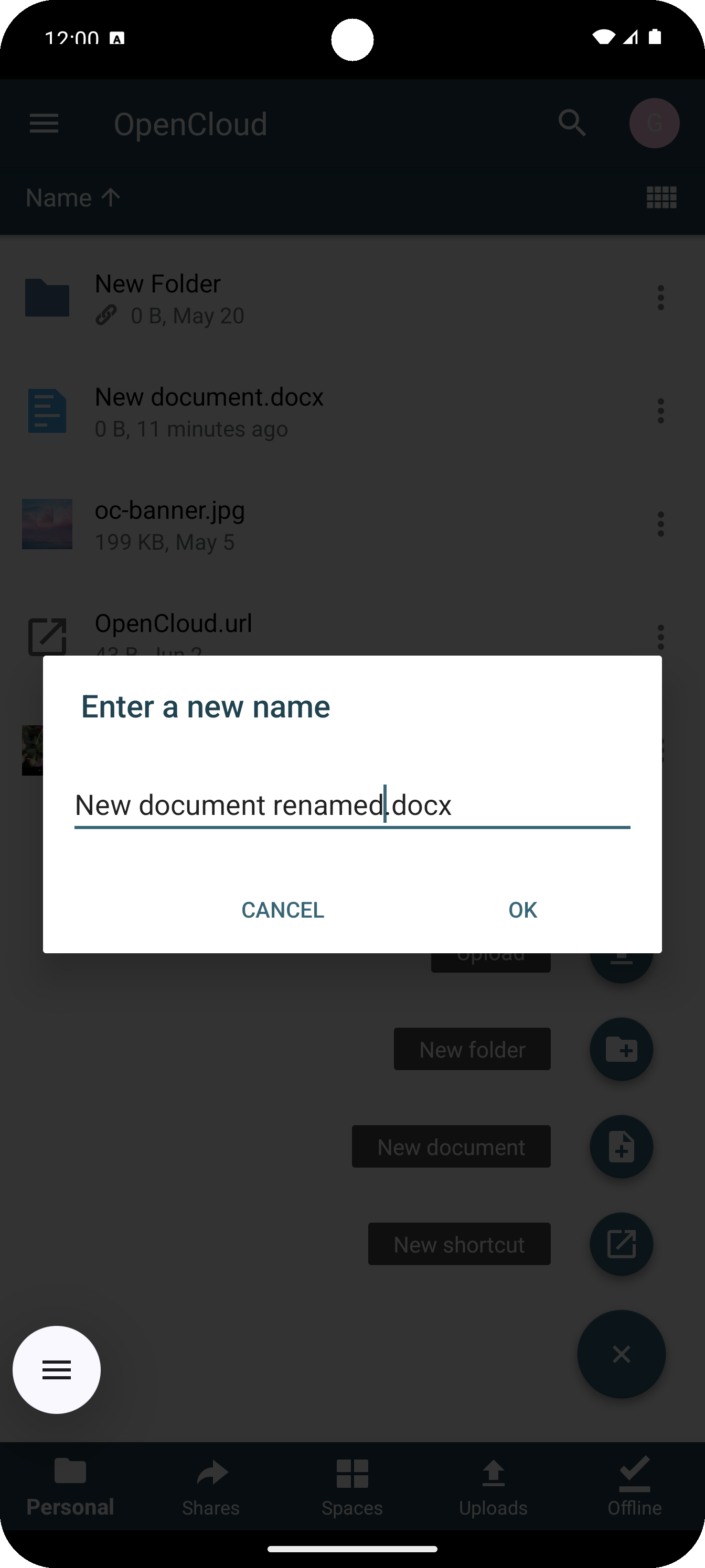 Enter the new name