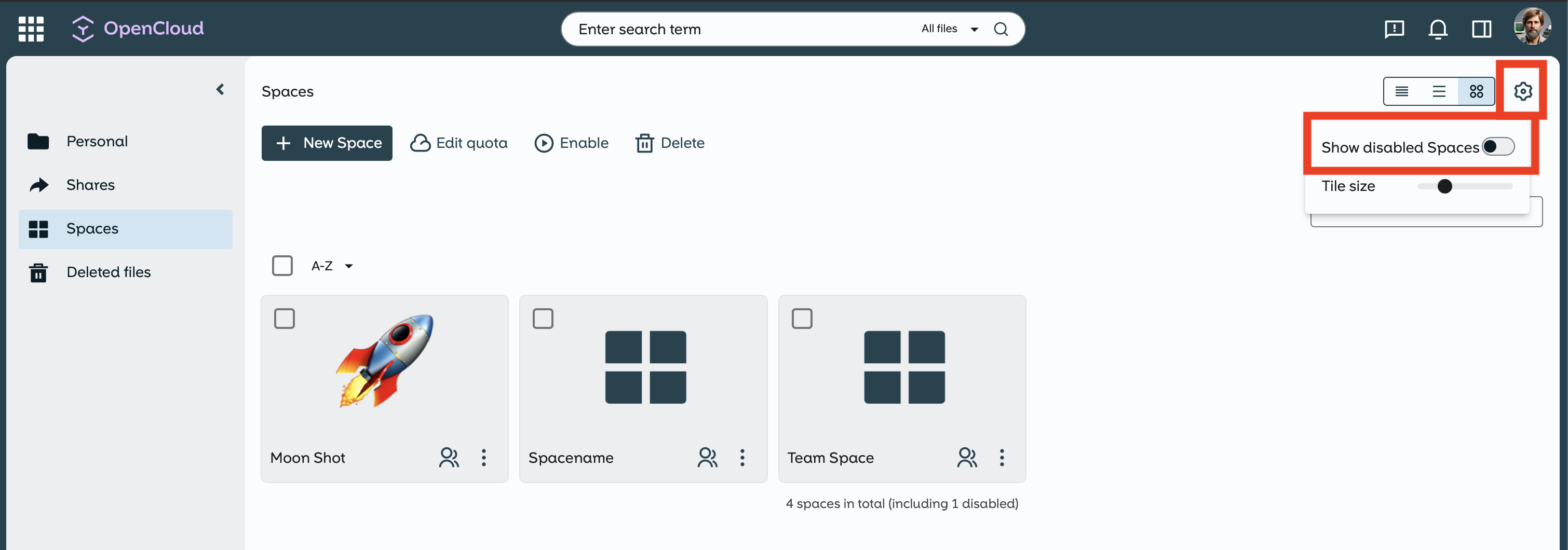 Include disabled spaces