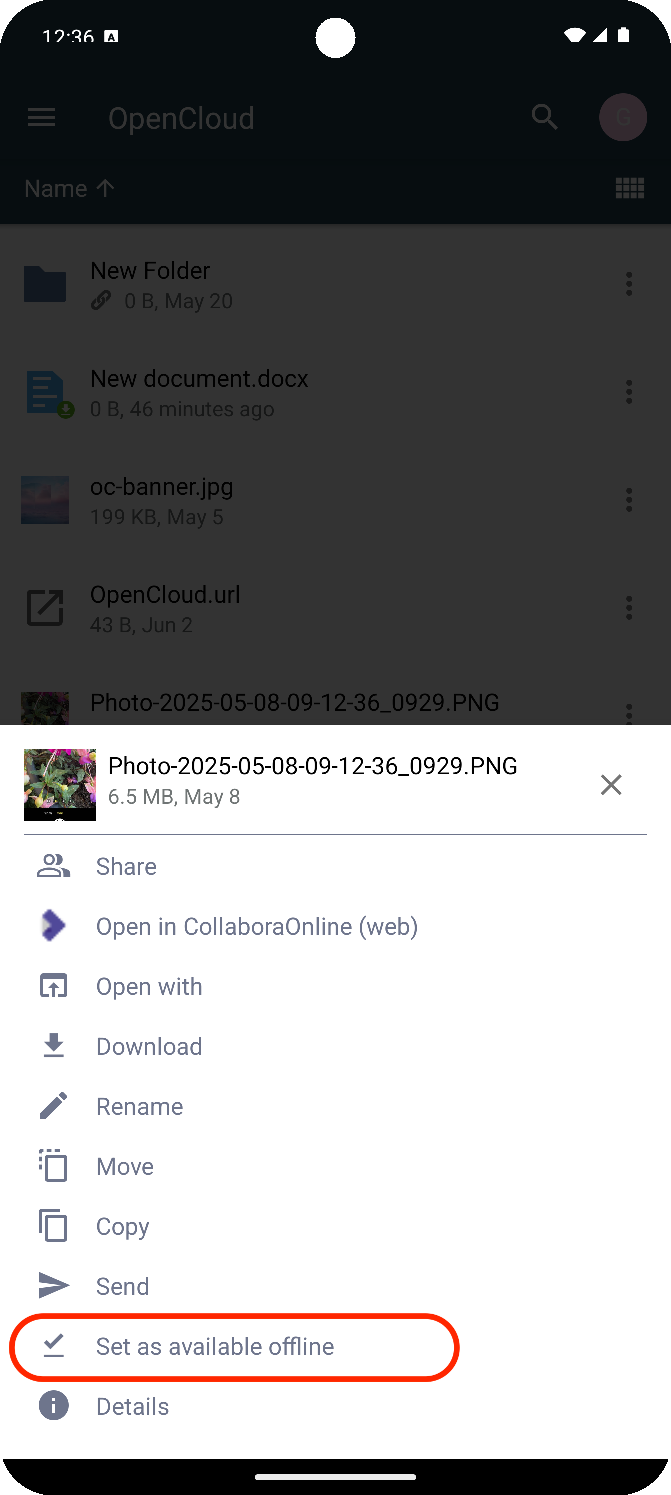 Offline verfügbar machen