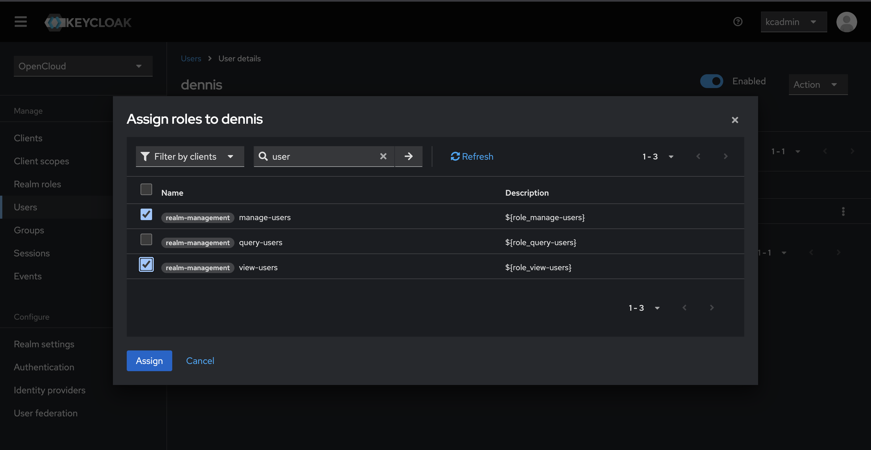 Add admin roles to user